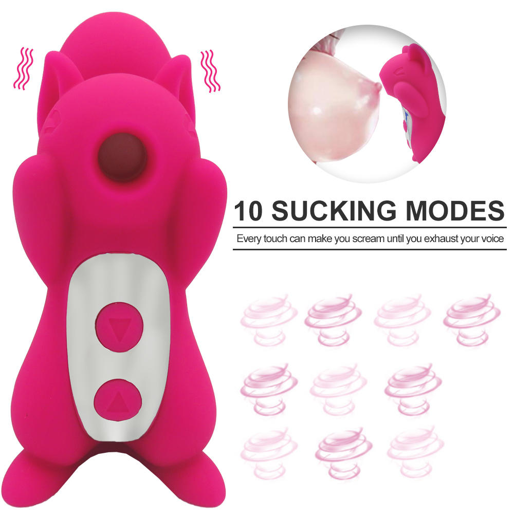 Amazon Hot Sale Squirrel Shapped Clit Sucking Vibrator (2)